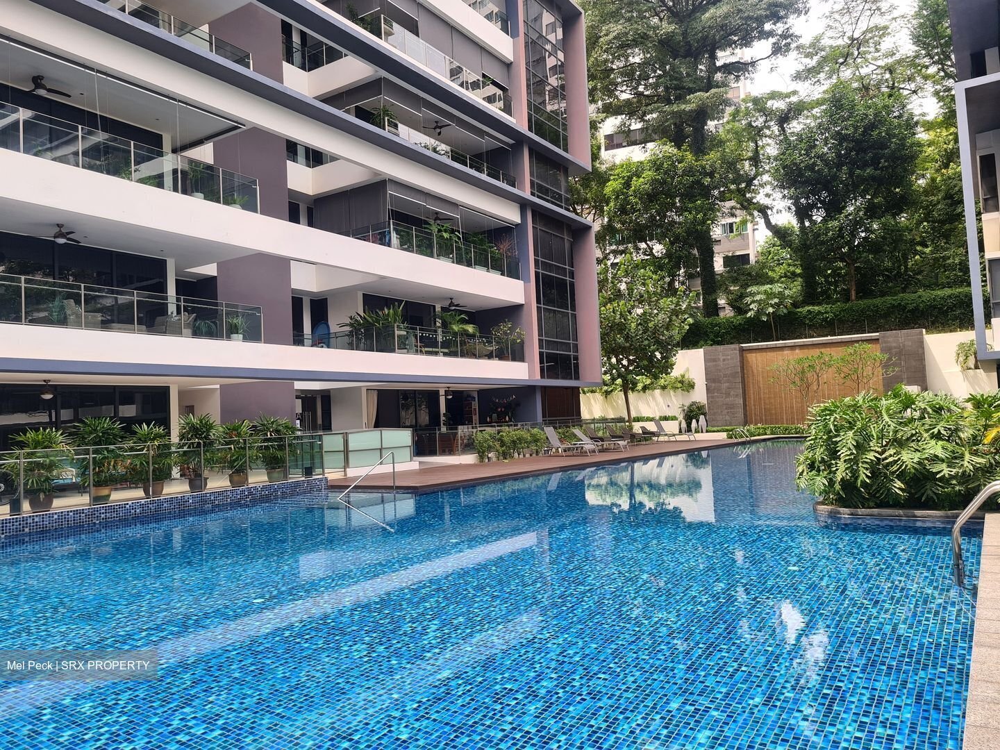 Treasure On Balmoral (D10), Apartment #456253231